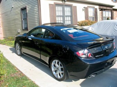 Tiburon1.jpg