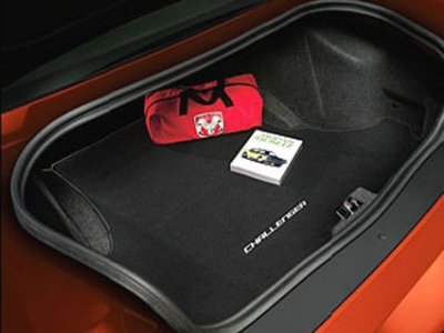 Trunk mat.jpg