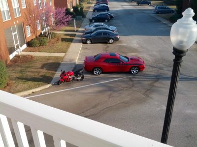 IMG_20130315_085020.jpg