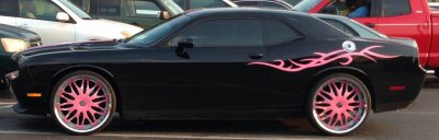 Pink.jpg