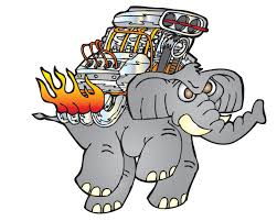 elephant.jpg