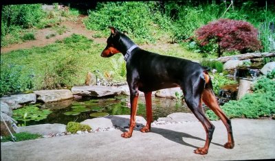 20170804_055851.jpg