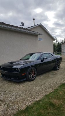 2017-09-28 16.53.07_preview.jpeg