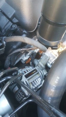 IMG_0360.JPG