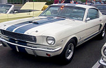 Evolution of Racing Stripes
