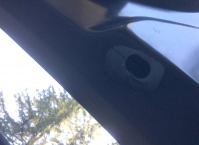 Trunk-Hole-1.jpg