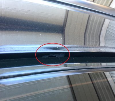 Trunk-Hole-2.jpg