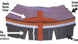 upload_2019-7-20_19-7-39.png upload_2019-7-20_19-7-39.png