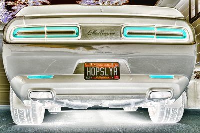 DSC_7167ggg.jpg