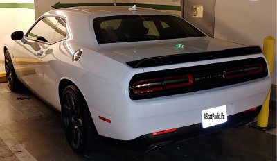 2.18ChSP (Rear).jpg