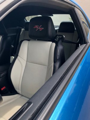 Headrest 4-2019.jpeg