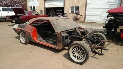 SEMA3.jpg