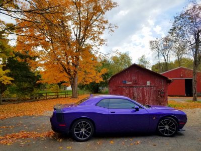 36 X 24 My Challenger on the farm-1.jpg