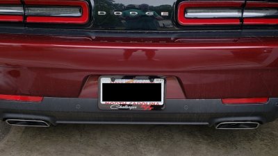 Plate-Cover.jpeg