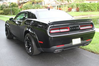 Scat Rear.jpg
