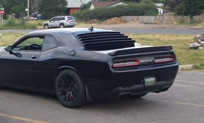 Louvers 2.JPG