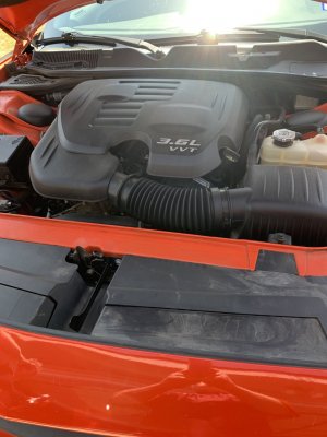 6F604445-32C3-4D1C-AF72-E2D3E061E777.jpeg