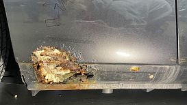 IMG_1761.jpg