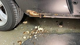 IMG_1763.jpg