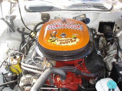 DSC08294.JPG
