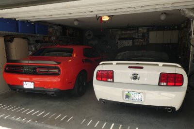 Mustang and  RT (3).JPG