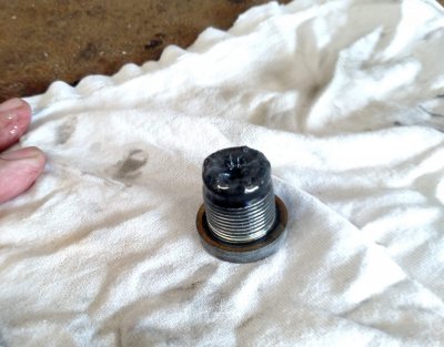 3 Drain Plug with Mung.jpg