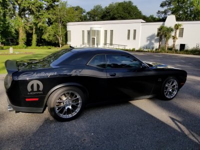 Black Beauty at Old Museum.jpg