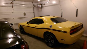 yellowjacketrob