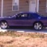 Plum Crazy