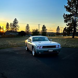 IMG_6354