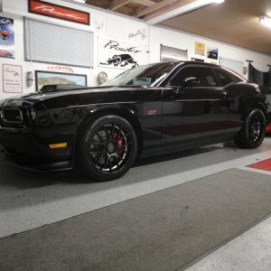 Shaker/Rims