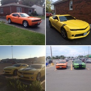 Challenger vs Camaro
