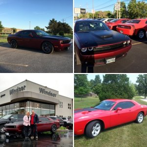 My TORRED 2014 SXT Challenger