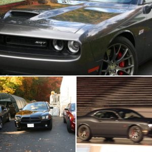 Diehards Toys