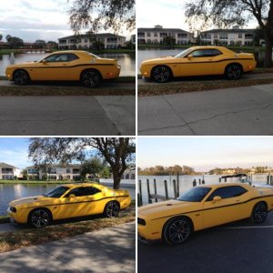 2012 Challenger Yellow Jacket