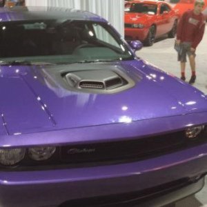2014 #33 Shaker Plum Crazy