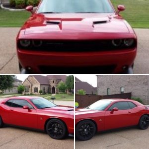 My New Scat PAck