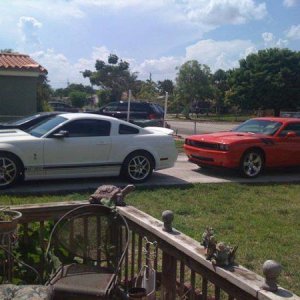 GT 500 & My R/T