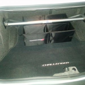 Completed trunk project