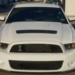 Shelby