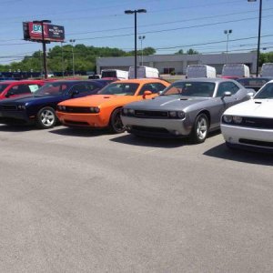 dealer 2014 1