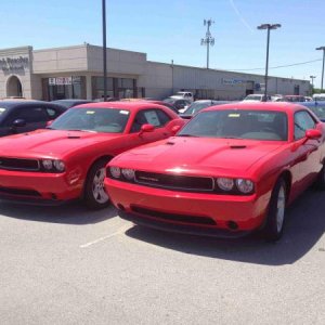 dealer 2014 5