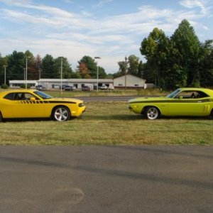 Car Show