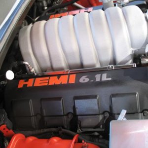 IMG 0101