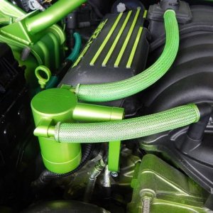 Catch Can hoses trimmed up