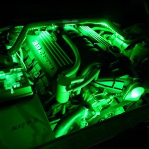 DSCN5257