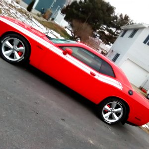 MGPCalpCvrs1